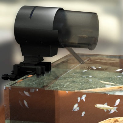 Automatic Fish Feeder